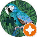 Celine F profile picture